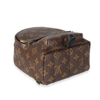 Louis Vuitton Louis Vuitton Monogram Canvas Palm Springs Mini Backpack