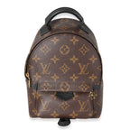 Louis Vuitton Louis Vuitton Monogram Canvas Palm Springs Mini Backpack