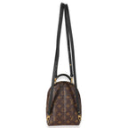 Louis Vuitton Louis Vuitton Monogram Canvas Palm Springs Mini Backpack