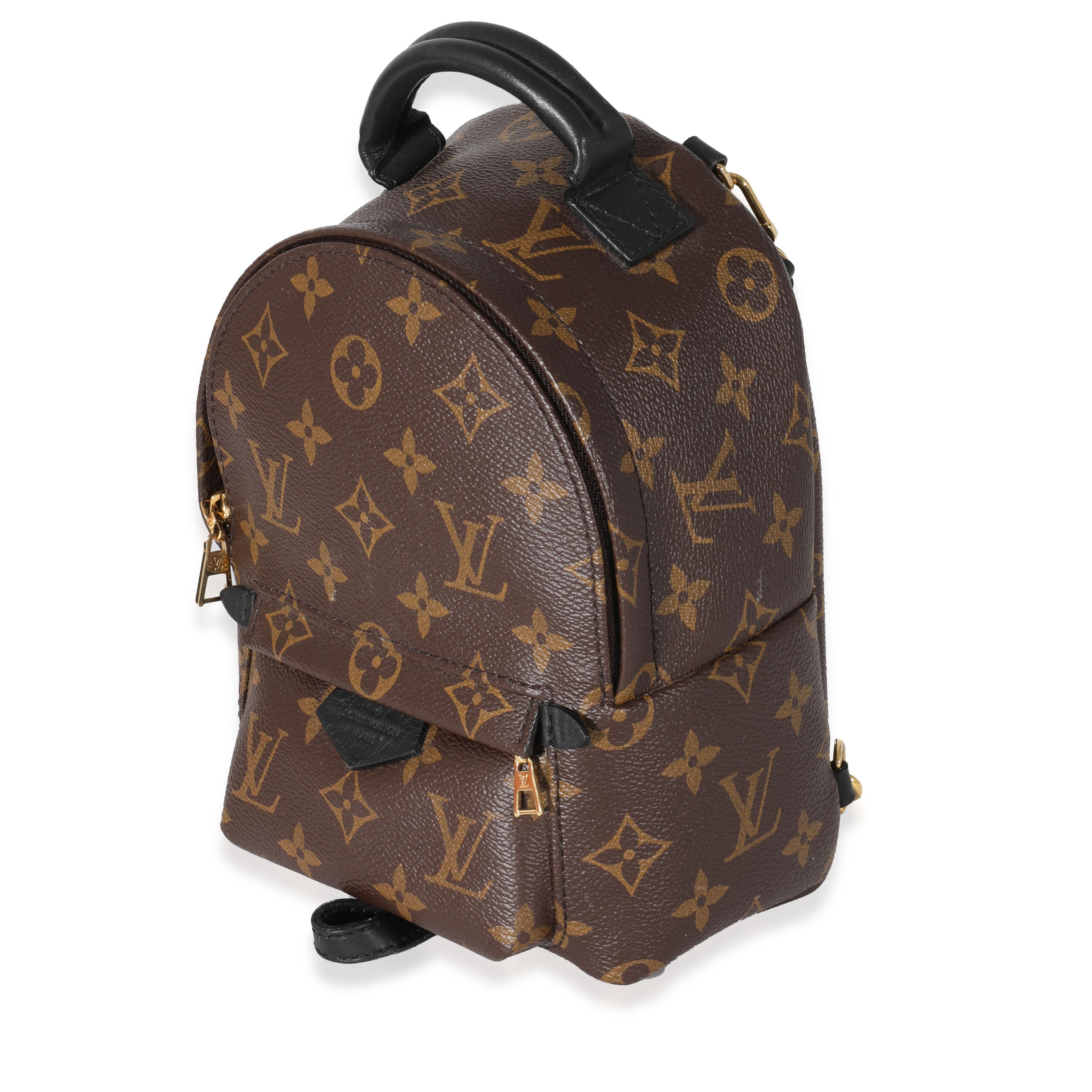 Louis Vuitton Louis Vuitton Monogram Canvas Palm Springs Mini Backpack