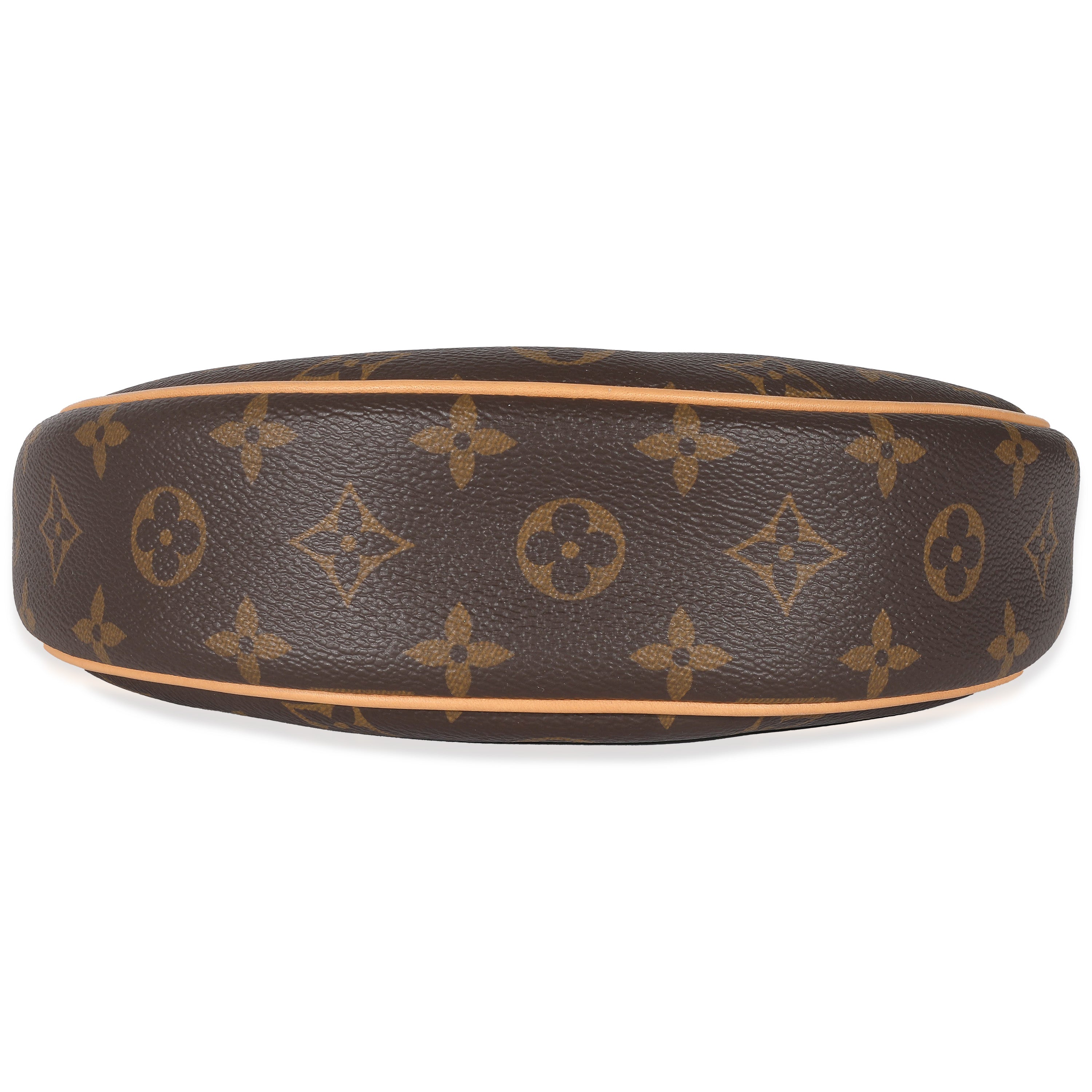Louis Vuitton Louis Vuitton Monogram Canvas Loop Bag