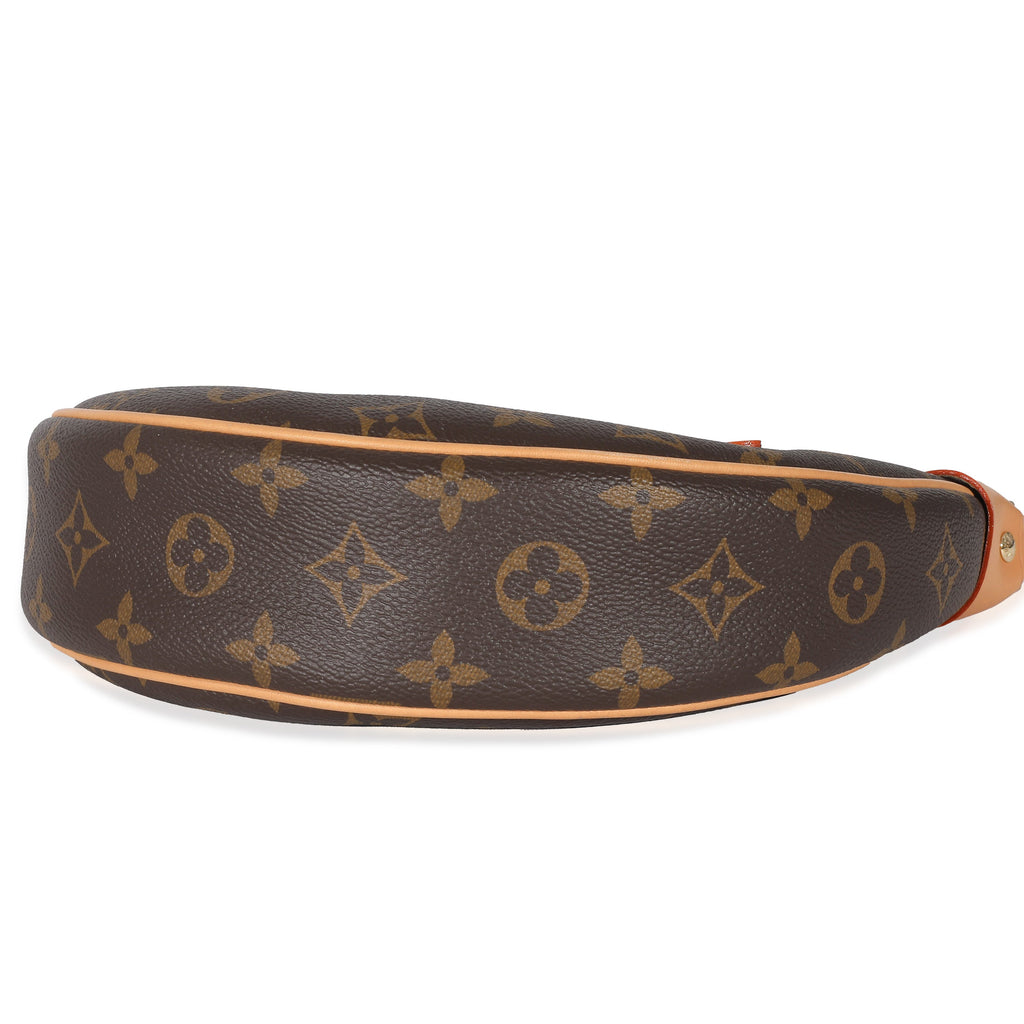 Louis Vuitton Louis Vuitton Monogram Canvas Loop Bag