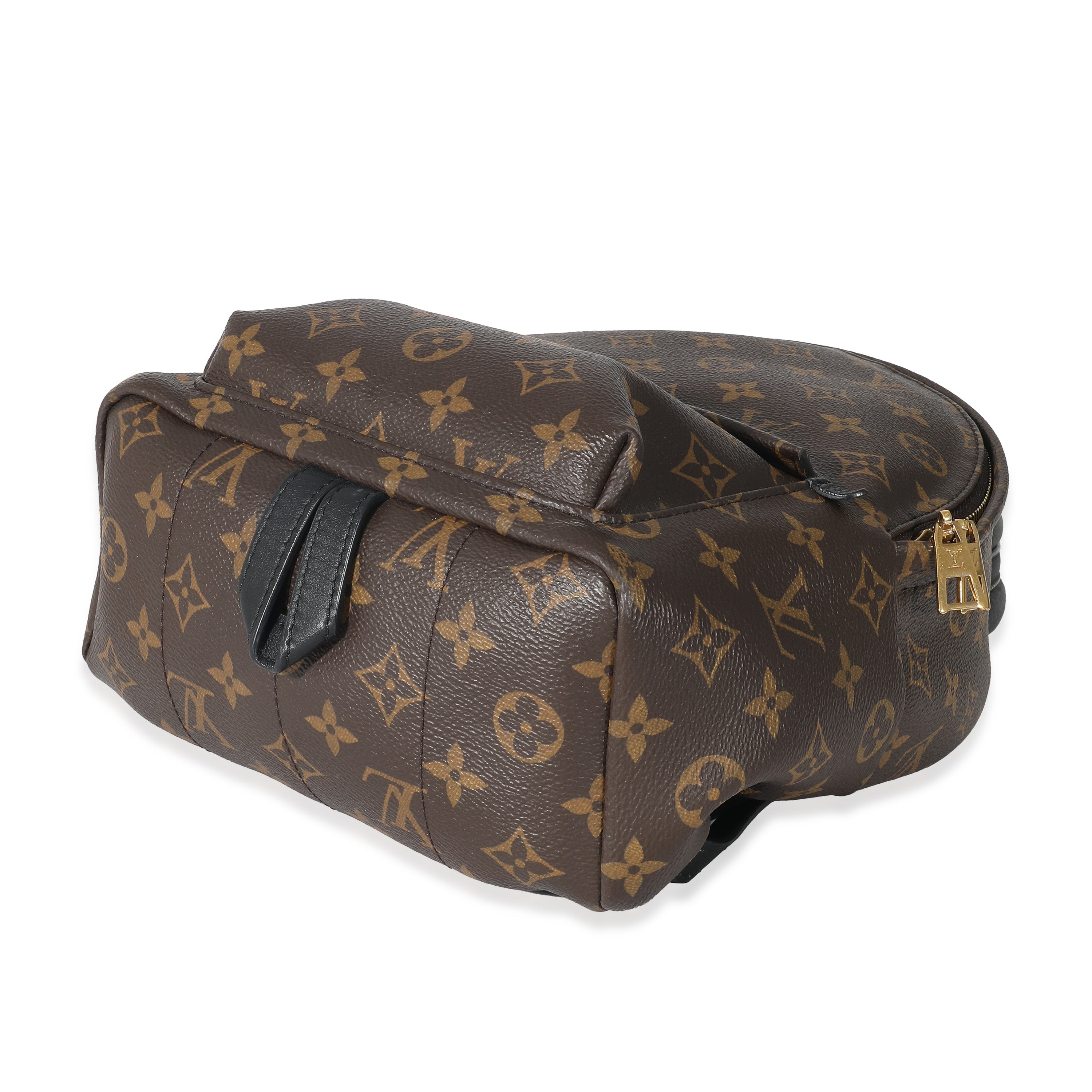 Louis Vuitton Louis Vuitton Monogram Canvas Palm Springs PM