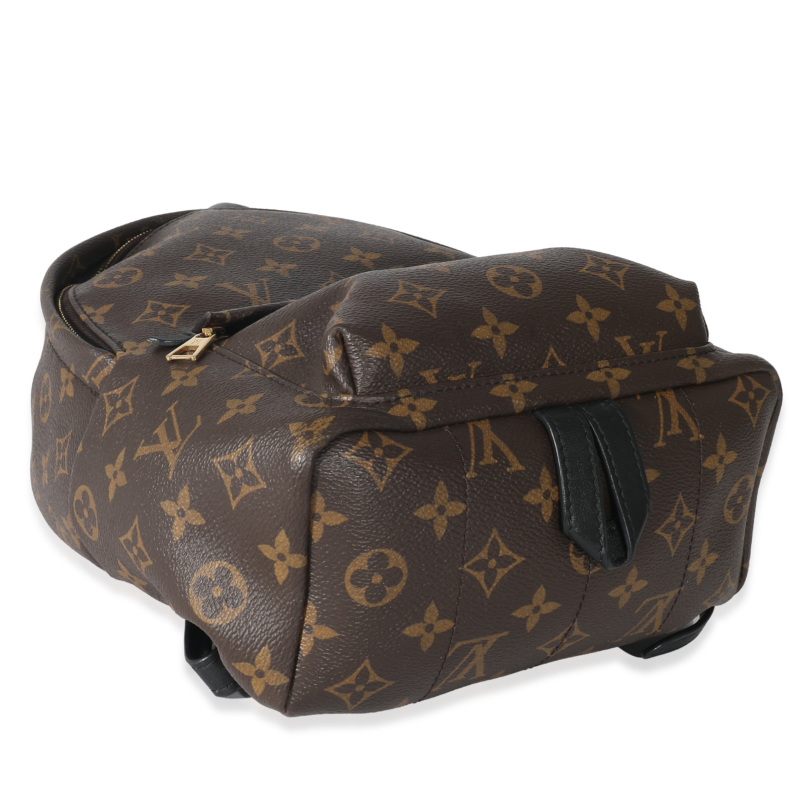Louis Vuitton Louis Vuitton Monogram Canvas Palm Springs PM