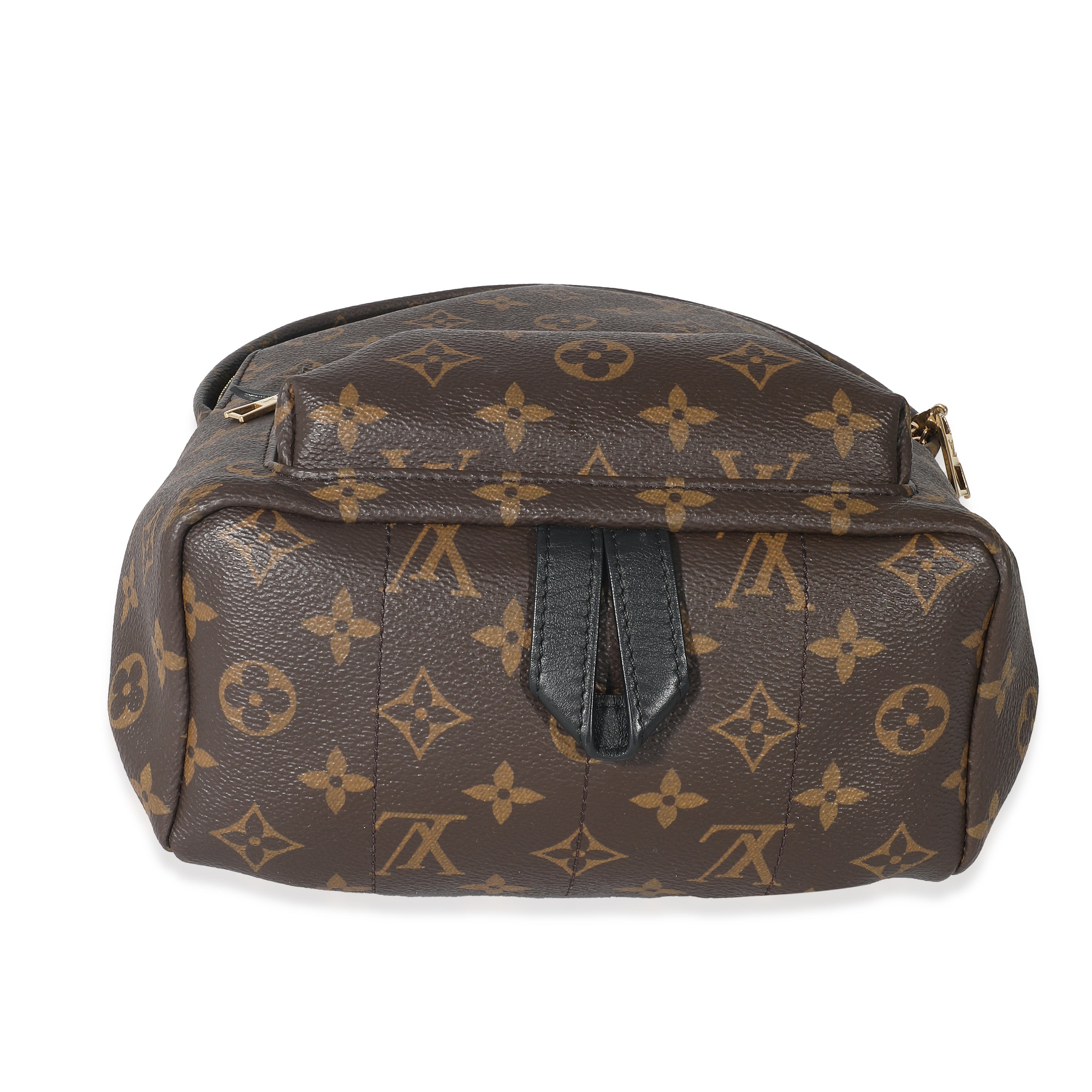Louis Vuitton Louis Vuitton Monogram Canvas Palm Springs PM