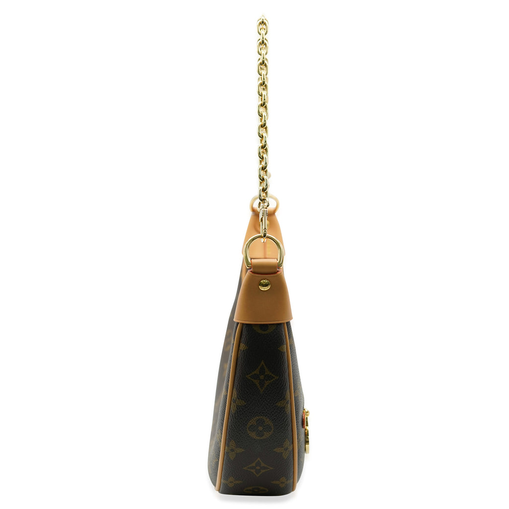 Louis Vuitton LV Monogram Canvas Loop
