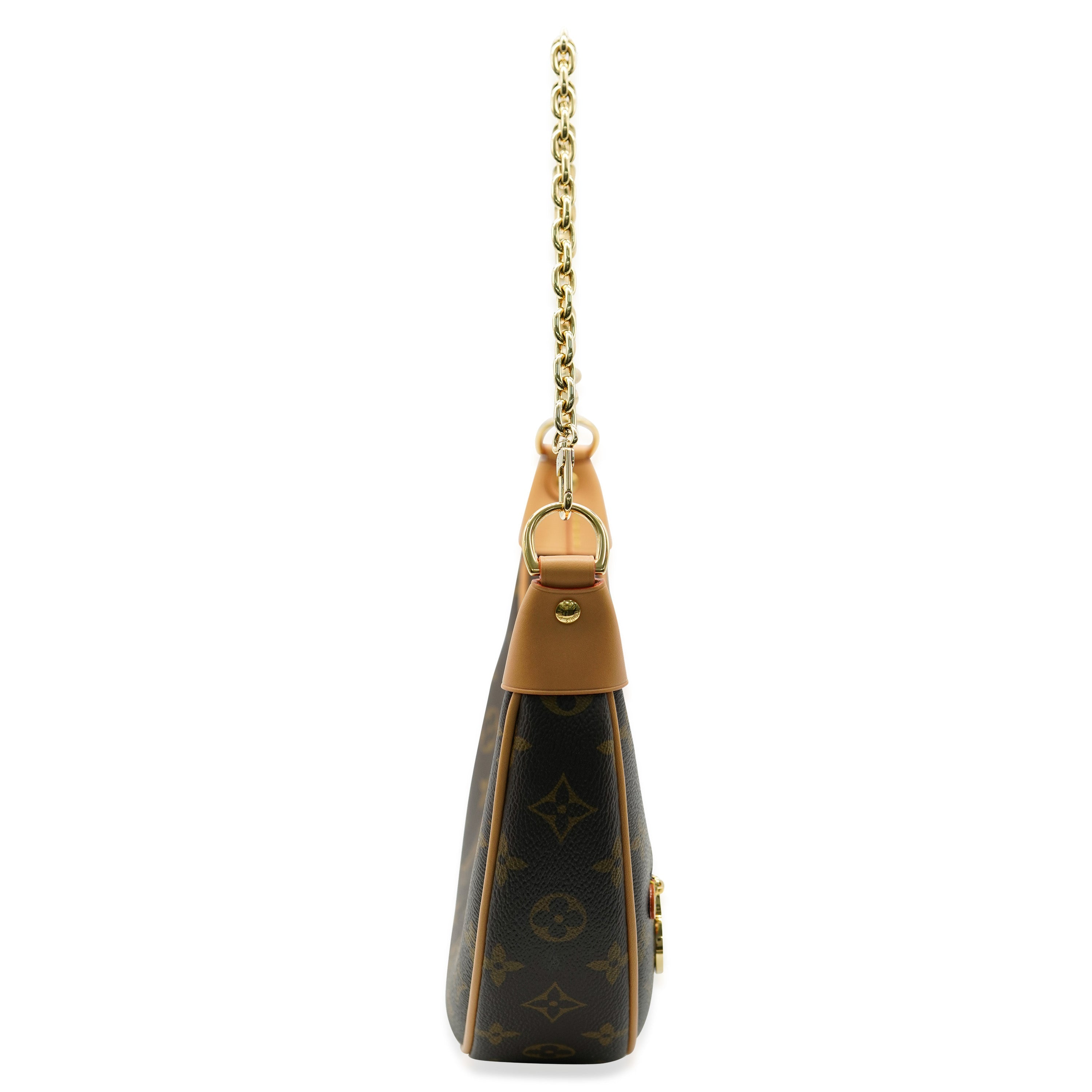 Louis Vuitton LV Monogram Canvas Loop
