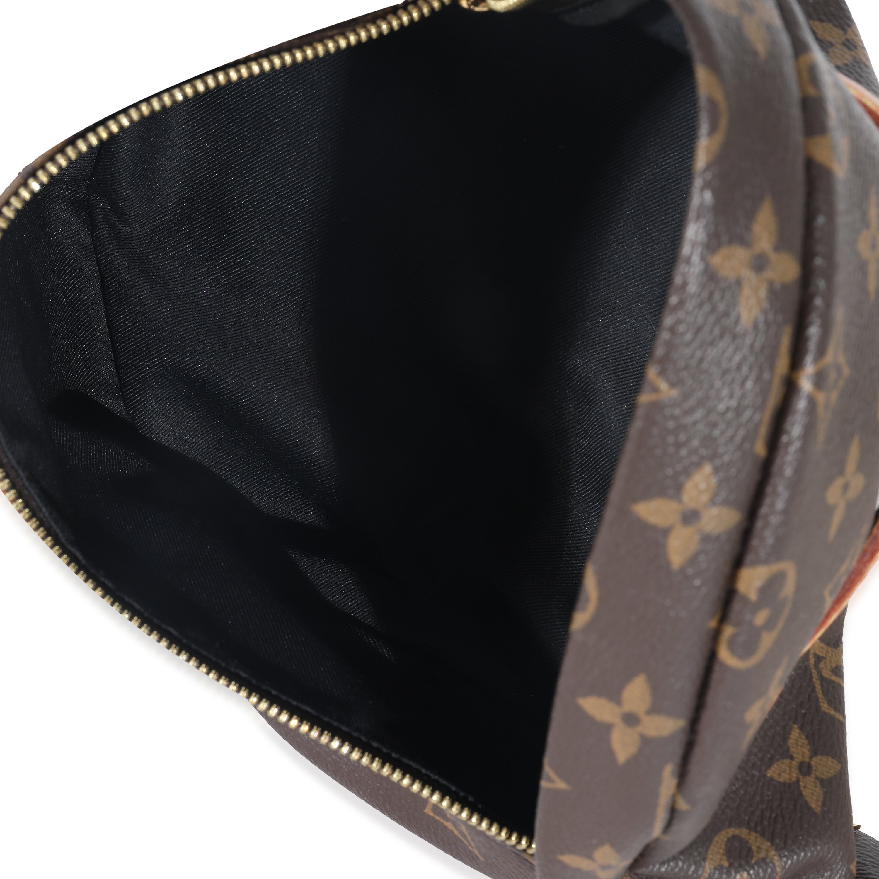 Louis Vuitton Louis Vuitton Monogram Canvas Bumbag