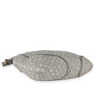 Louis Vuitton Louis Vuitton Platine Monogram Mini Lin Besace Angele