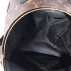 Louis Vuitton Louis Vuitton Monogram Canvas Palm Springs MM