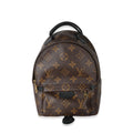 Louis Vuitton Louis Vuitton Monogram Canvas Mini Palm Springs