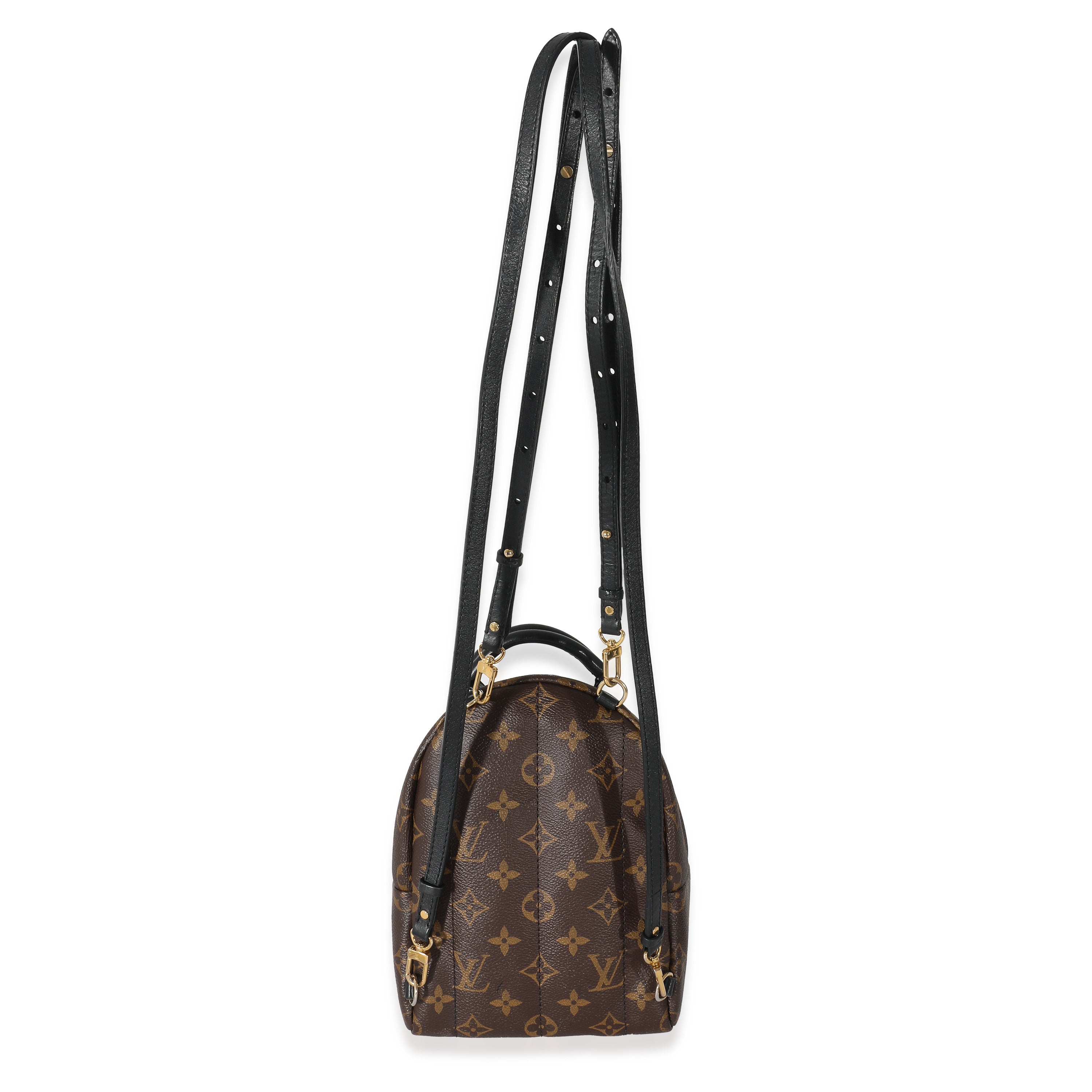 Louis Vuitton Louis Vuitton Monogram Canvas Mini Palm Springs