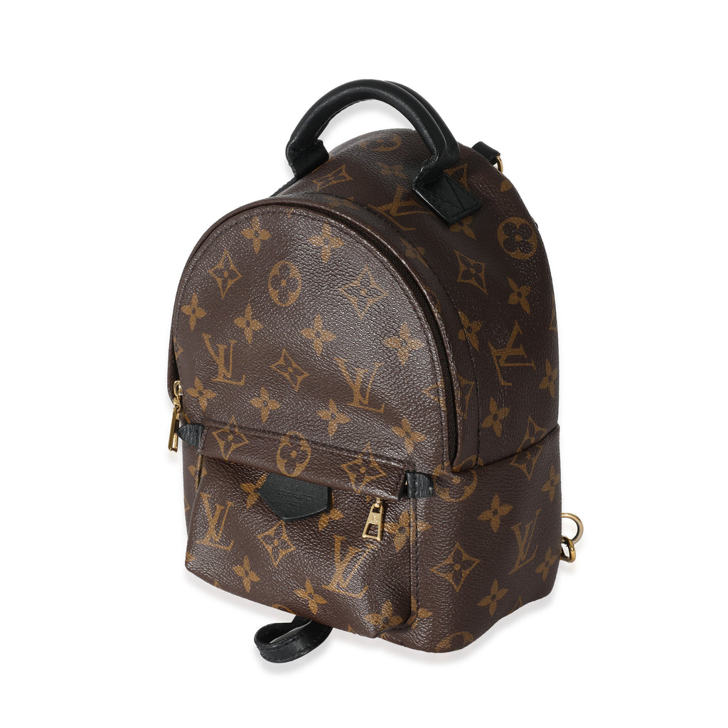 Louis Vuitton Louis Vuitton Monogram Canvas Mini Palm Springs
