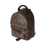 Louis Vuitton Louis Vuitton Monogram Canvas Mini Palm Springs