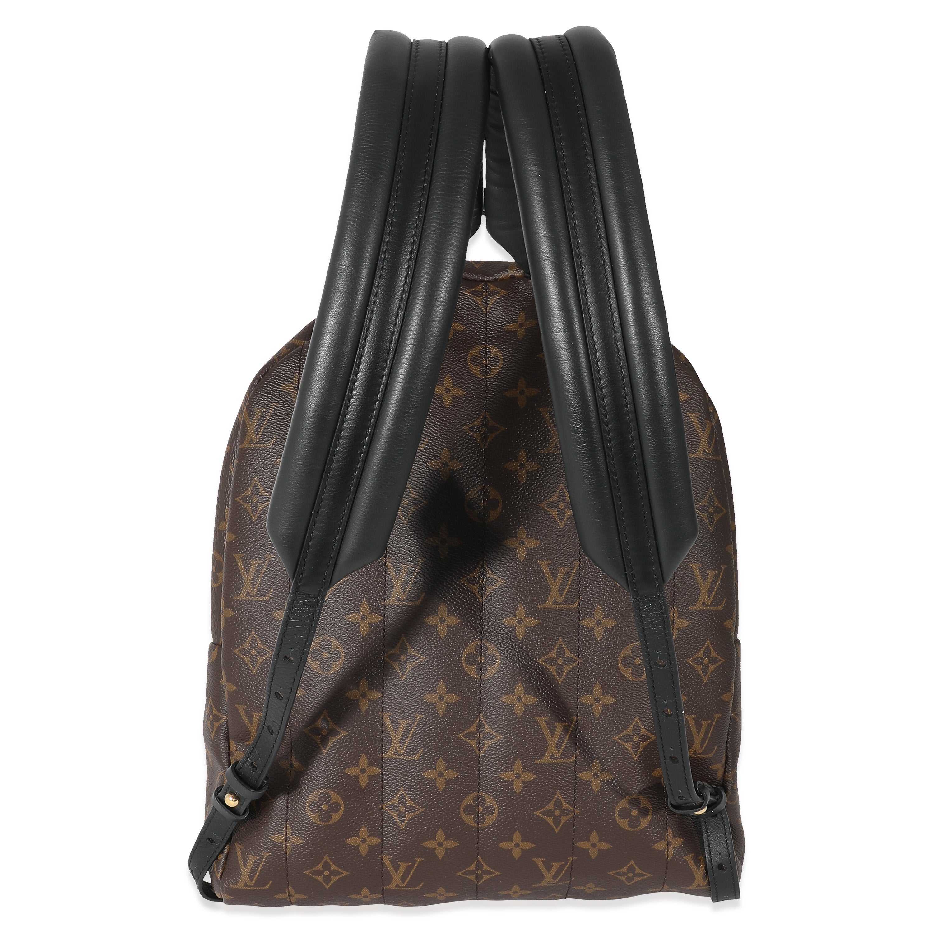 Louis Vuitton Louis Vuitton Monogram Canvas Palm Springs MM