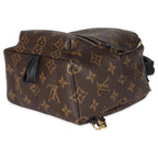 Louis Vuitton Louis Vuitton Monogram Canvas Mini Palm Springs