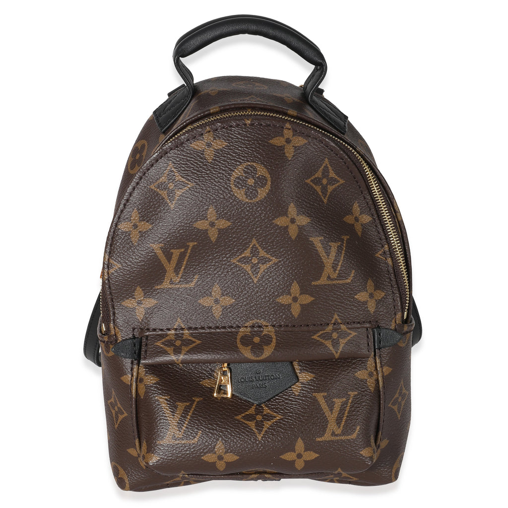Louis Vuitton Louis Vuitton Monogram Canvas Mini Palm Springs