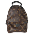 Louis Vuitton Louis Vuitton Monogram Canvas Mini Palm Springs