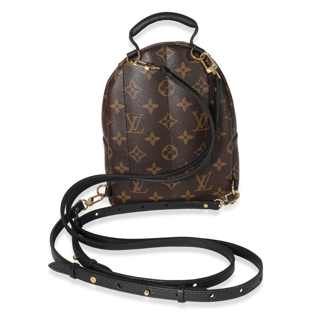 Louis Vuitton Louis Vuitton Monogram Canvas Mini Palm Springs