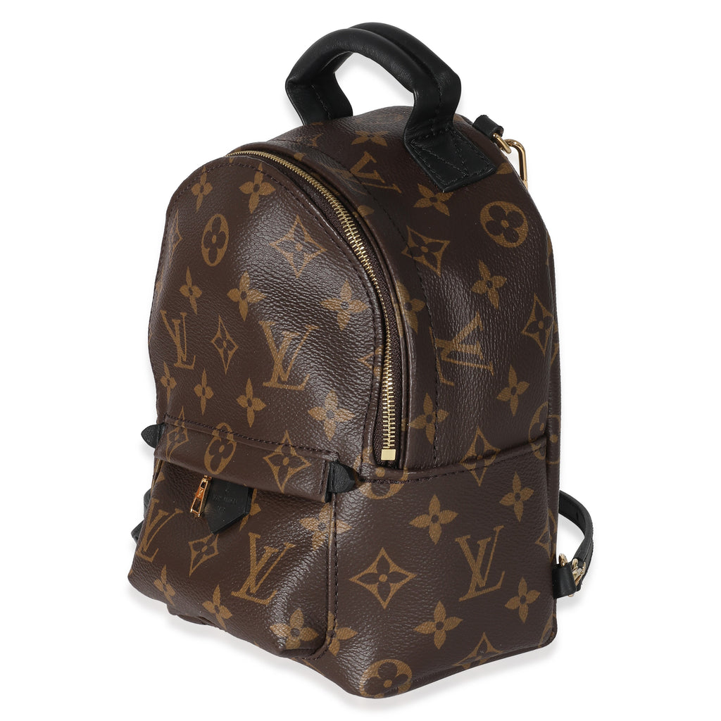 Louis Vuitton Louis Vuitton Monogram Canvas Mini Palm Springs