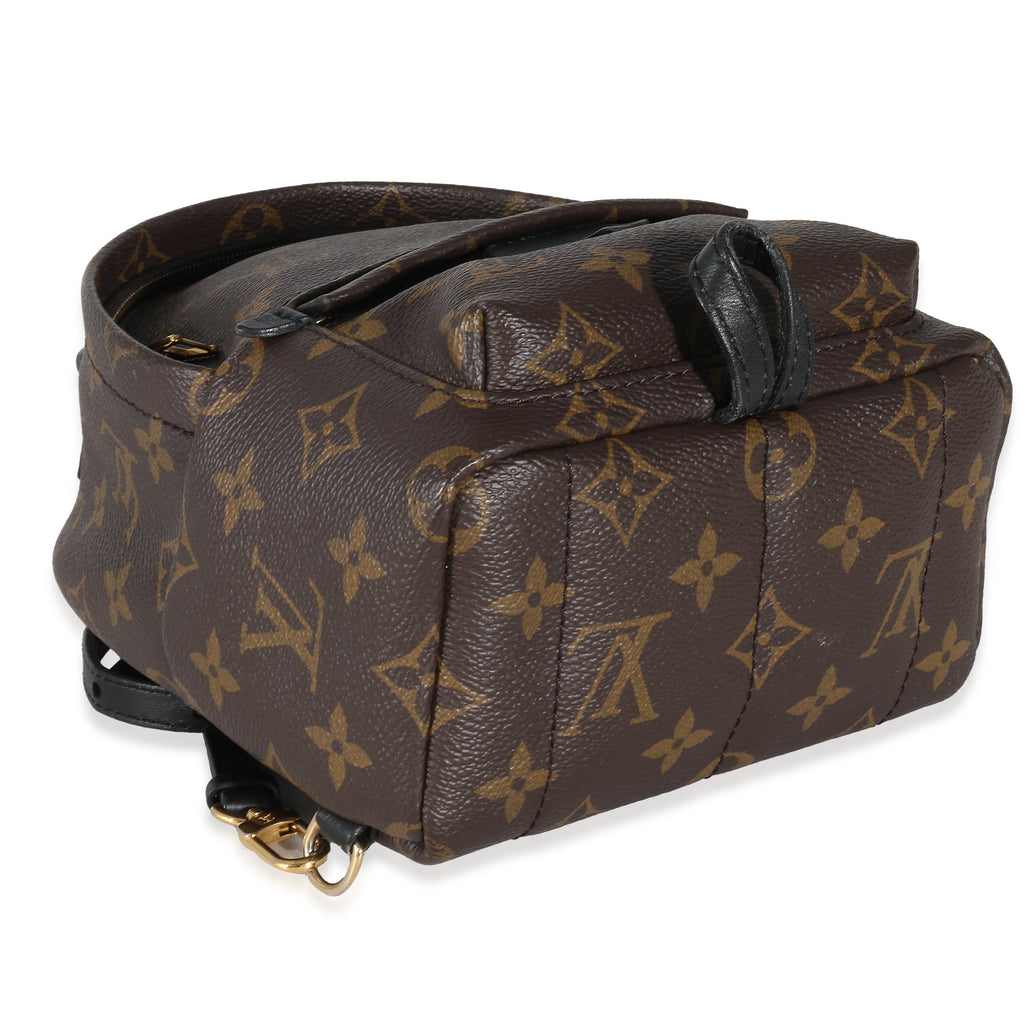 Louis Vuitton Louis Vuitton Monogram Canvas Mini Palm Springs