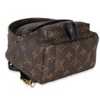 Louis Vuitton Louis Vuitton Monogram Canvas Mini Palm Springs
