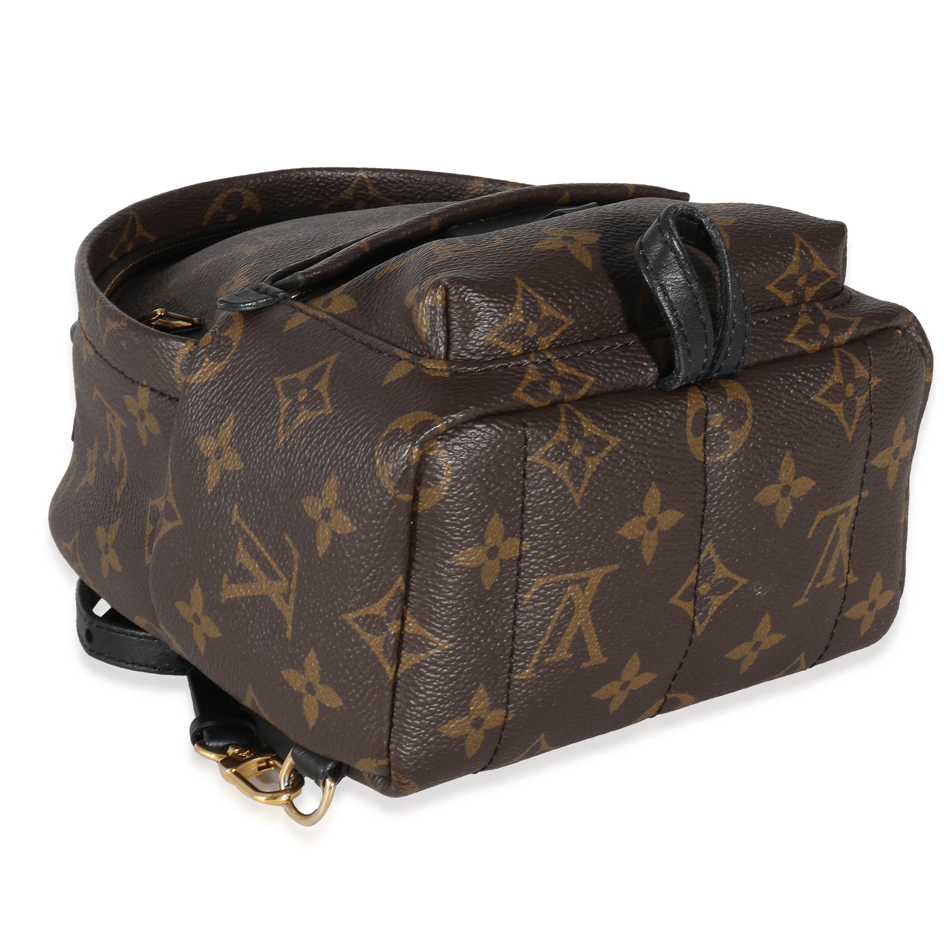 Louis Vuitton Louis Vuitton Monogram Canvas Mini Palm Springs