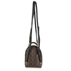 Louis Vuitton Louis Vuitton Monogram Canvas Mini Palm Springs