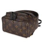 Louis Vuitton Louis Vuitton Monogram Canvas Mini Palm Springs