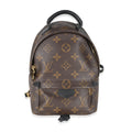Louis Vuitton Louis Vuitton Monogram Canvas Mini Palm Springs