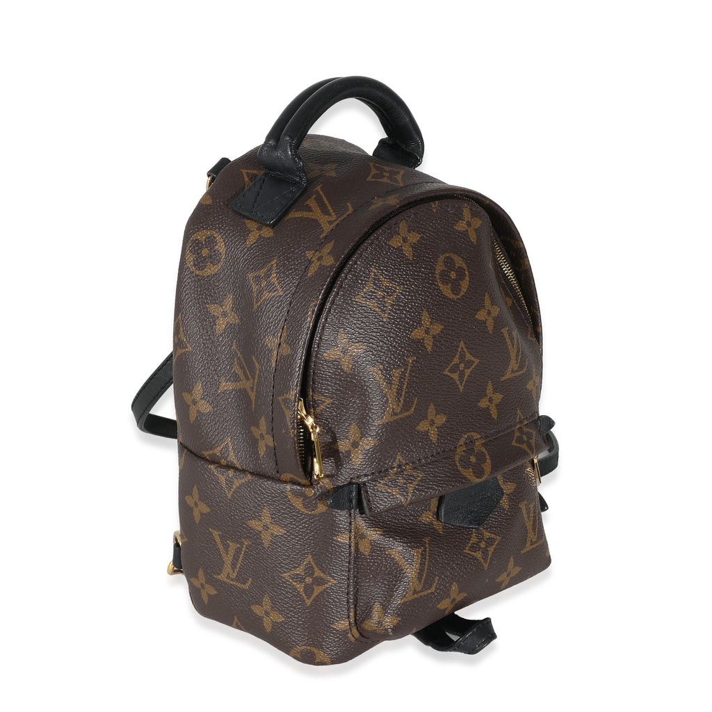 Louis Vuitton Louis Vuitton Monogram Canvas Mini Palm Springs