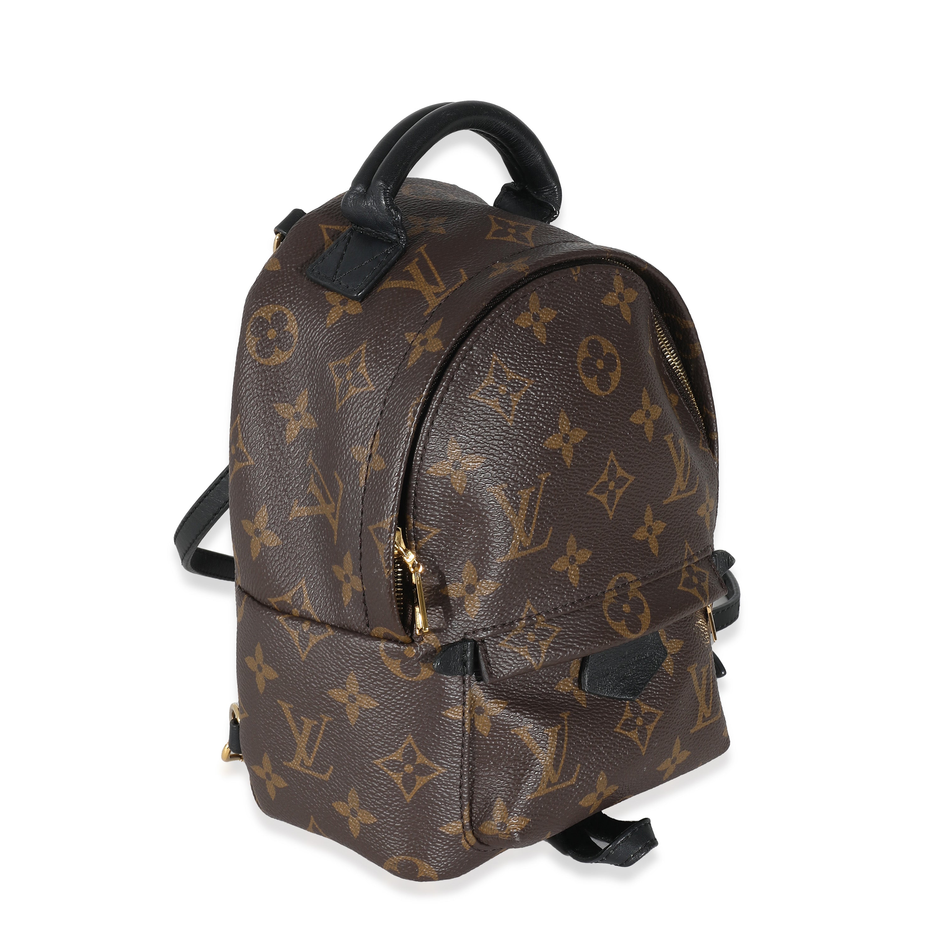 Louis Vuitton Louis Vuitton Monogram Canvas Mini Palm Springs