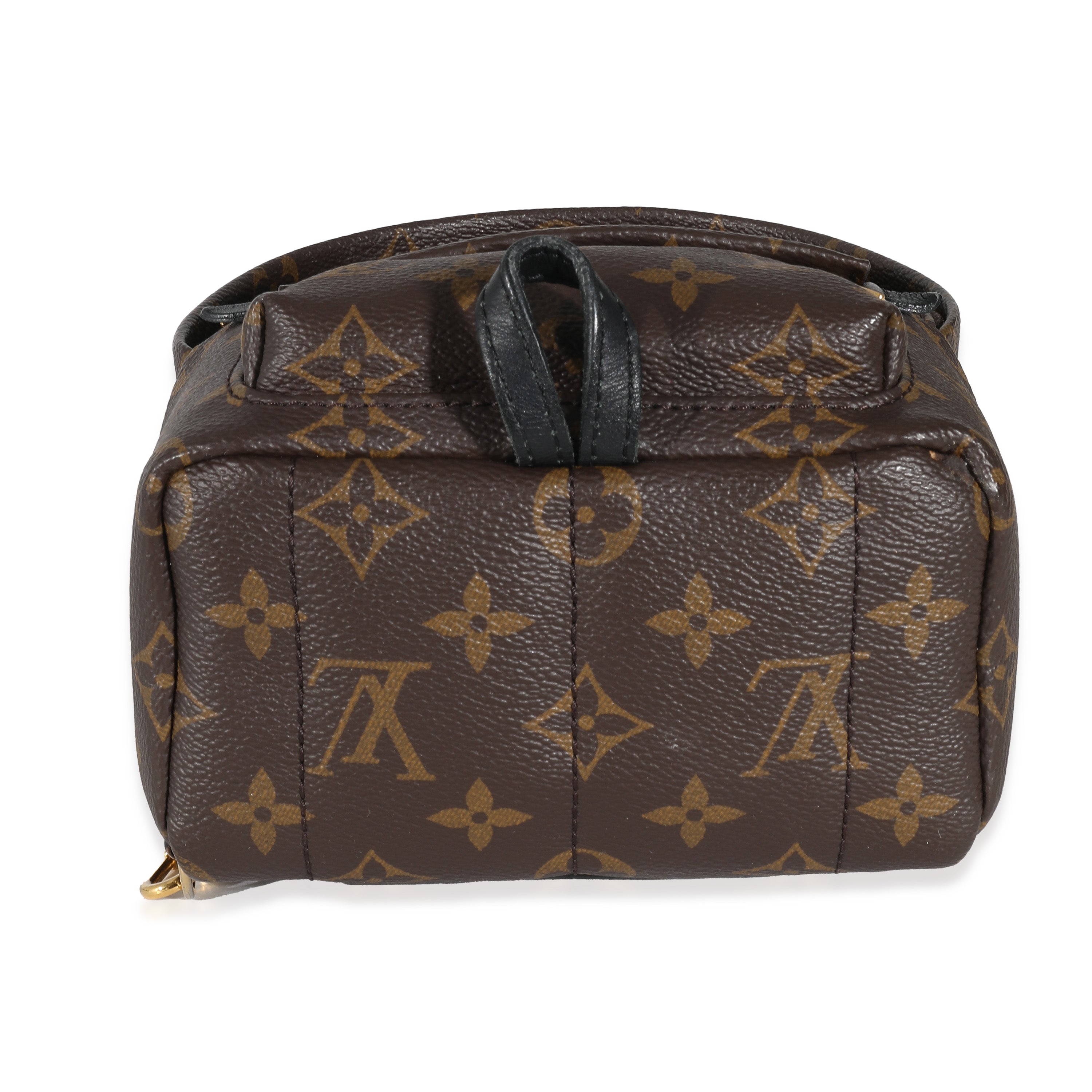 Louis Vuitton Louis Vuitton Monogram Canvas Mini Palm Springs