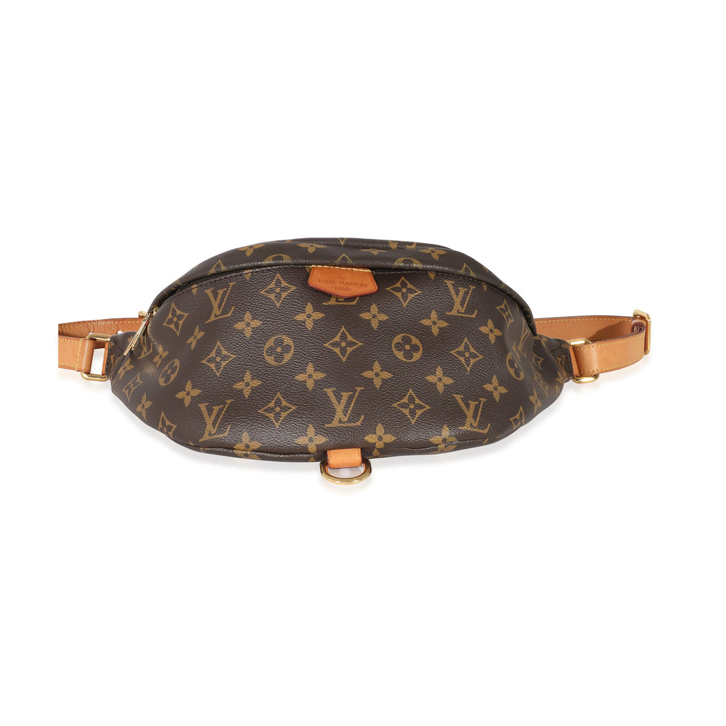 Louis Vuitton Louis Vuitton Monogram Canvas Bumbag