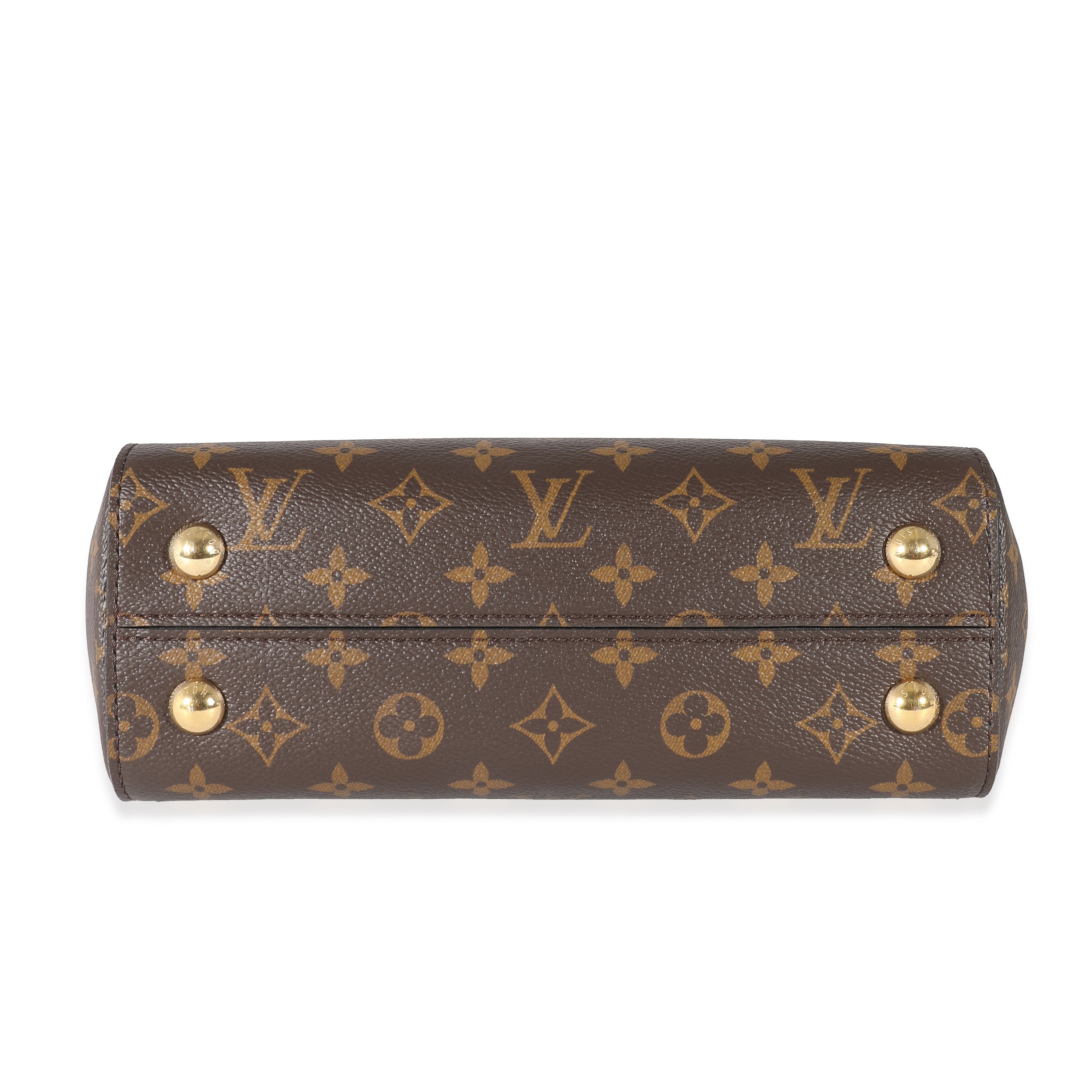 Louis Vuitton Louis Vuitton Monogram Canvas Cluny BB
