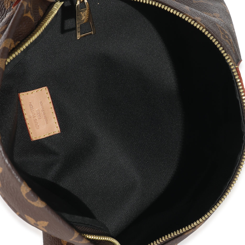 Louis Vuitton Louis Vuitton Monogram Canvas Bumbag