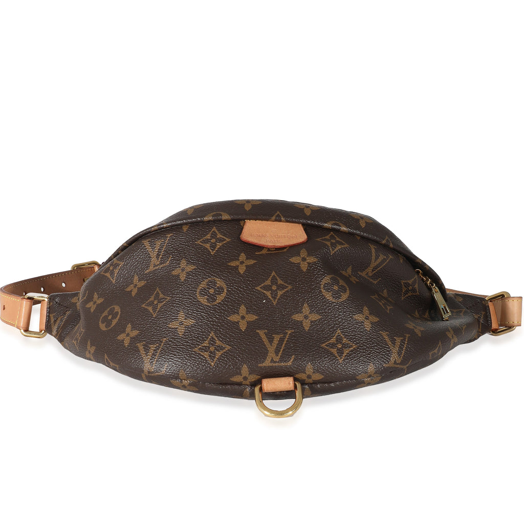 Louis Vuitton Louis Vuitton Monogram Canvas Bumbag