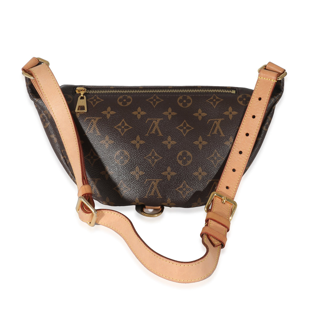 Louis Vuitton Louis Vuitton Monogram Canvas Bumbag