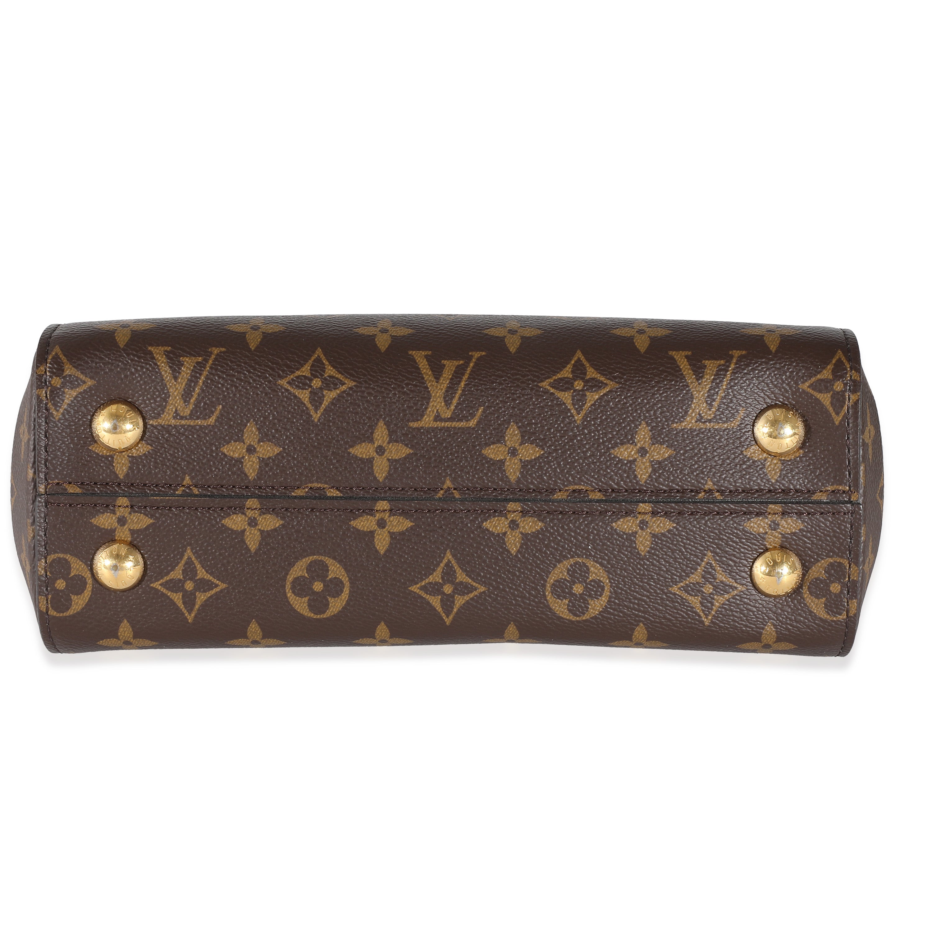 Louis Vuitton Louis Vuitton Monogram Canvas Cluny MM