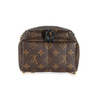 Louis Vuitton Louis Vuitton Monogram Canvas Mini Palm Springs