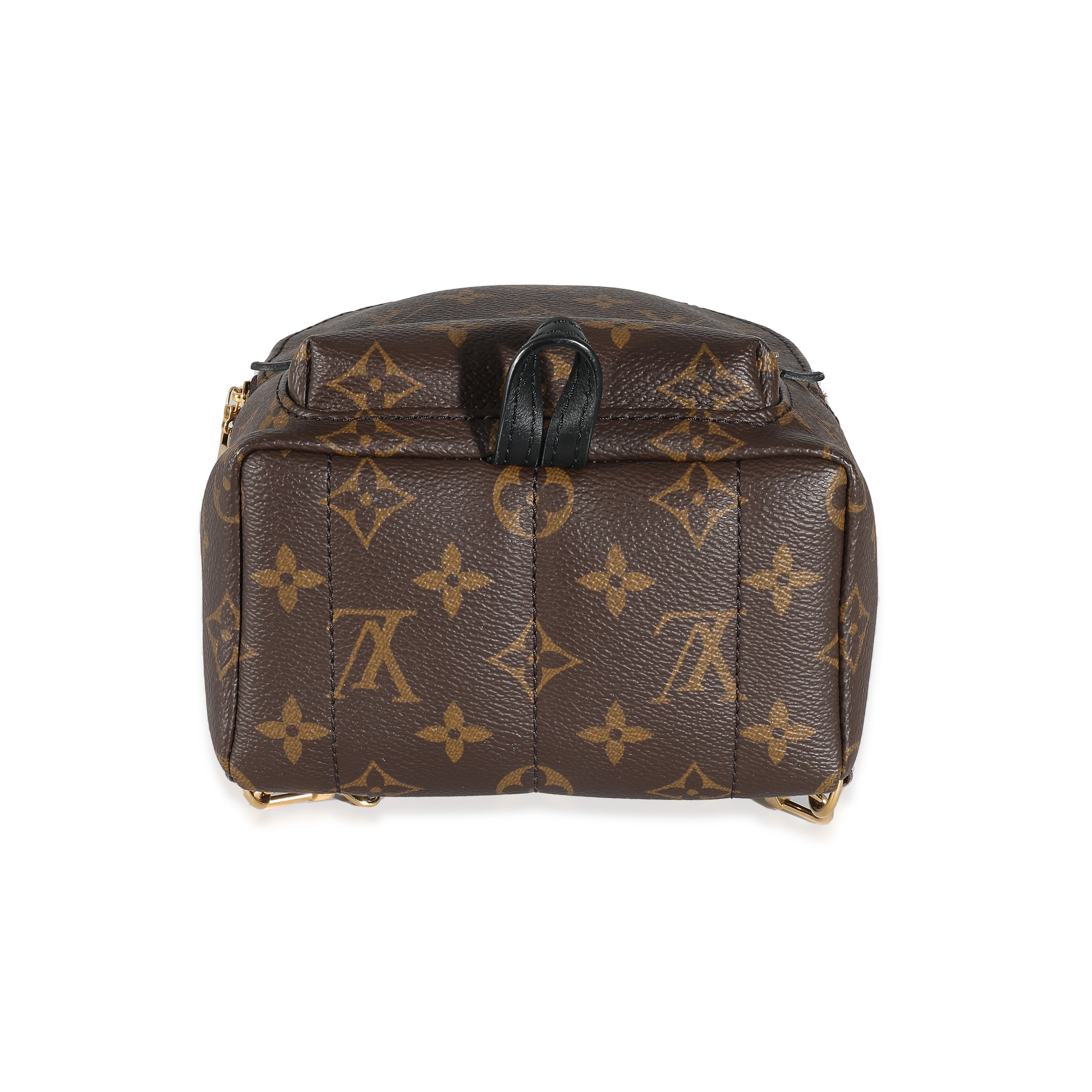 Louis Vuitton Louis Vuitton Monogram Canvas Mini Palm Springs