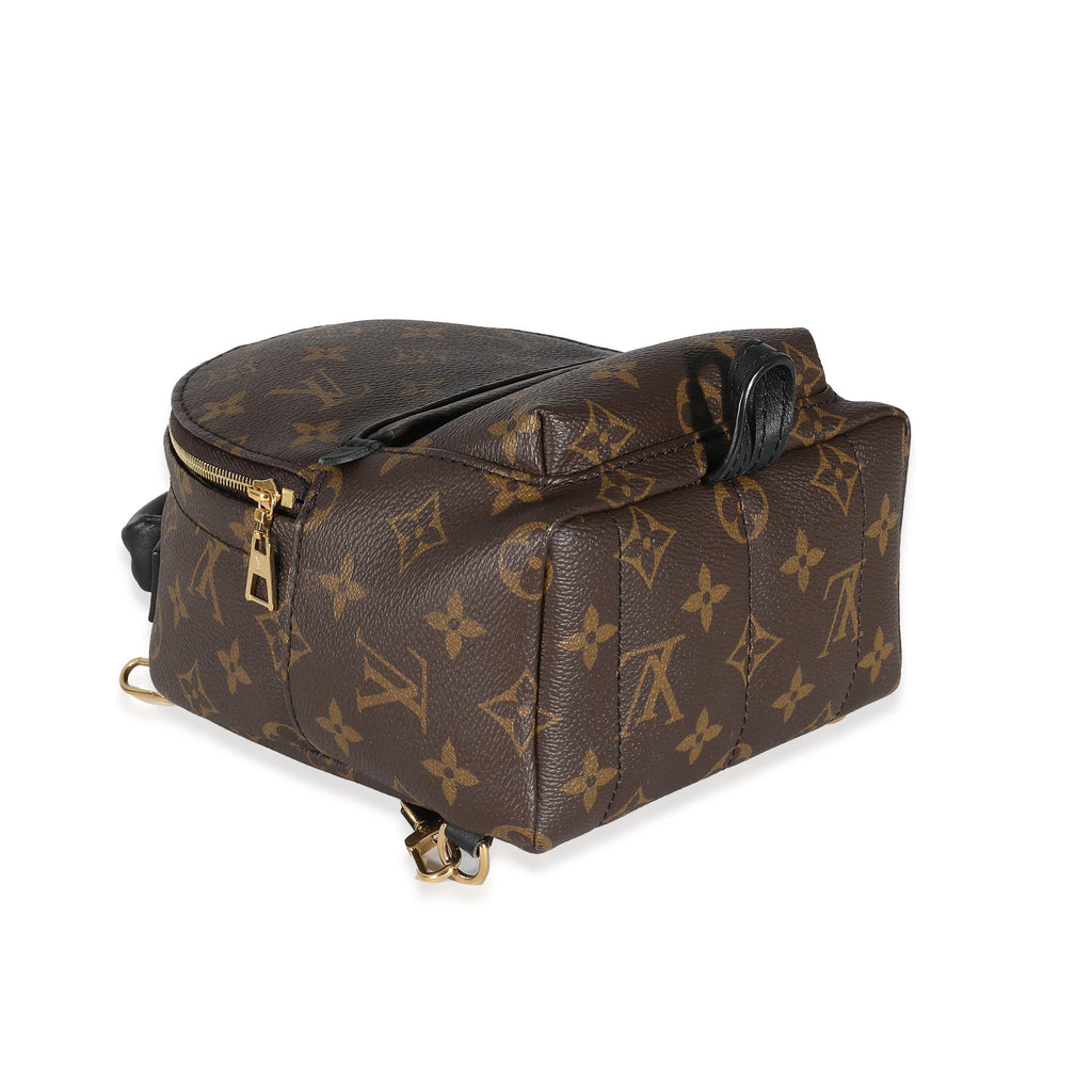 Louis Vuitton Louis Vuitton Monogram Canvas Mini Palm Springs