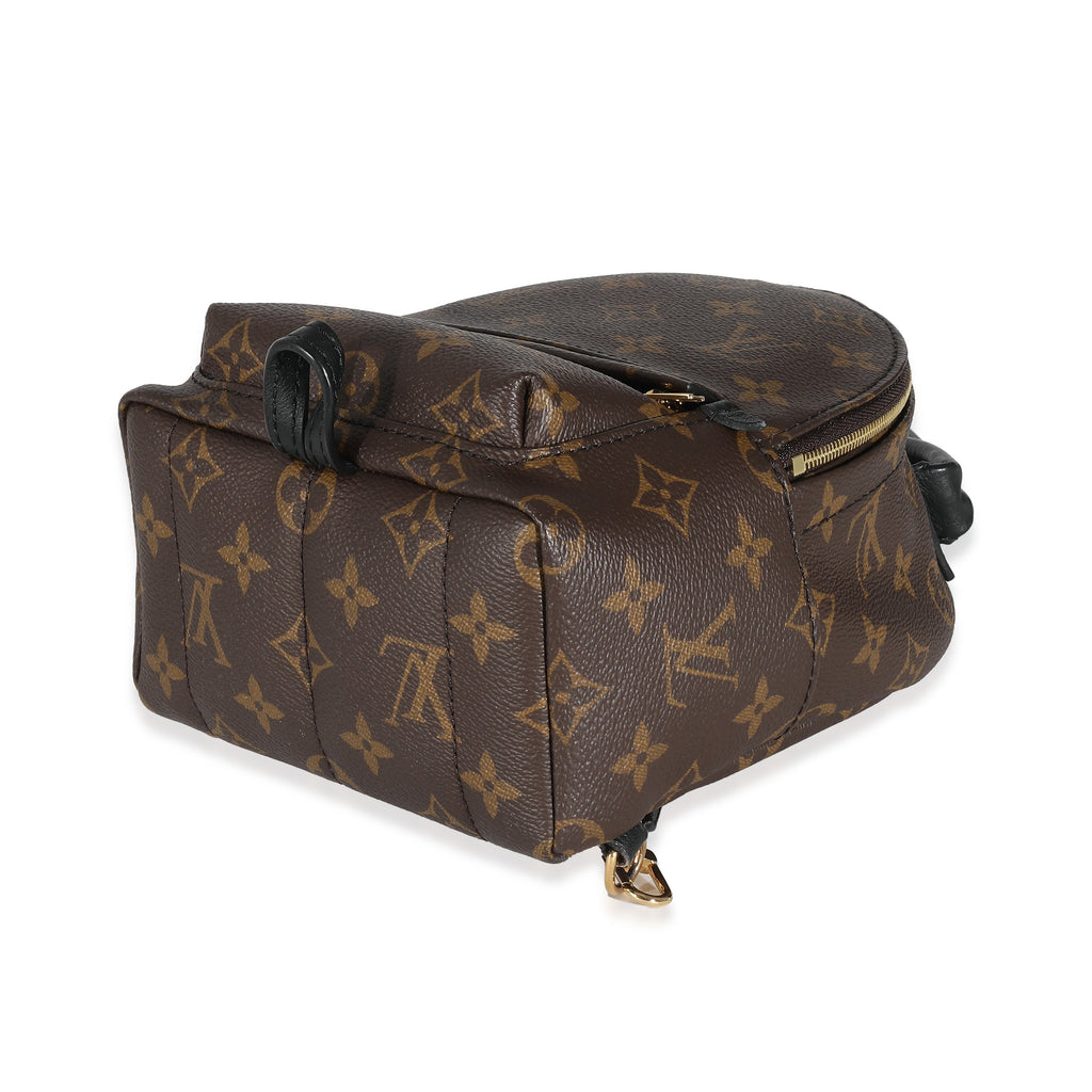 Louis Vuitton Louis Vuitton Monogram Canvas Mini Palm Springs