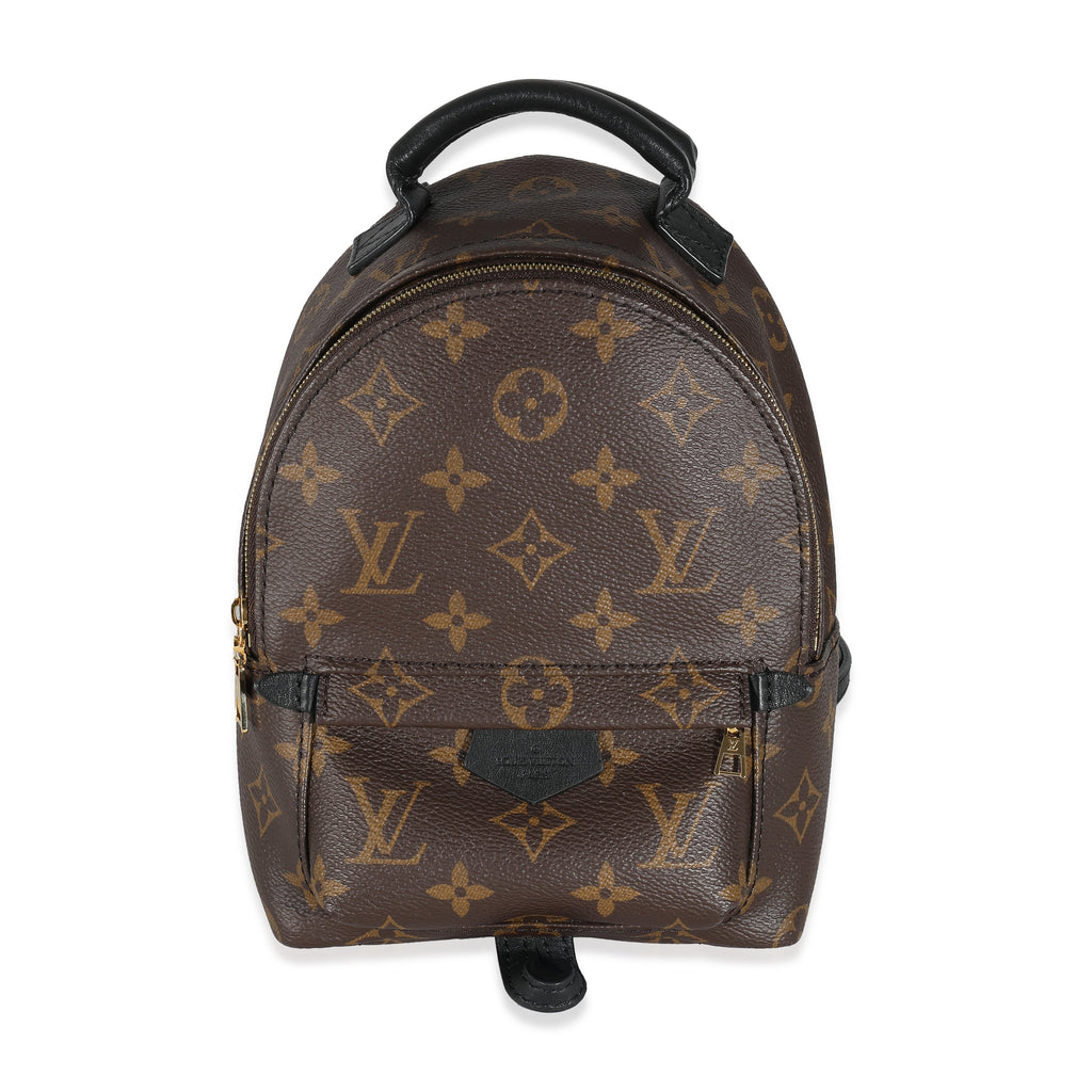 Louis Vuitton Louis Vuitton Monogram Canvas Mini Palm Springs