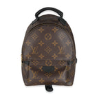 Louis Vuitton Louis Vuitton Monogram Canvas Mini Palm Springs