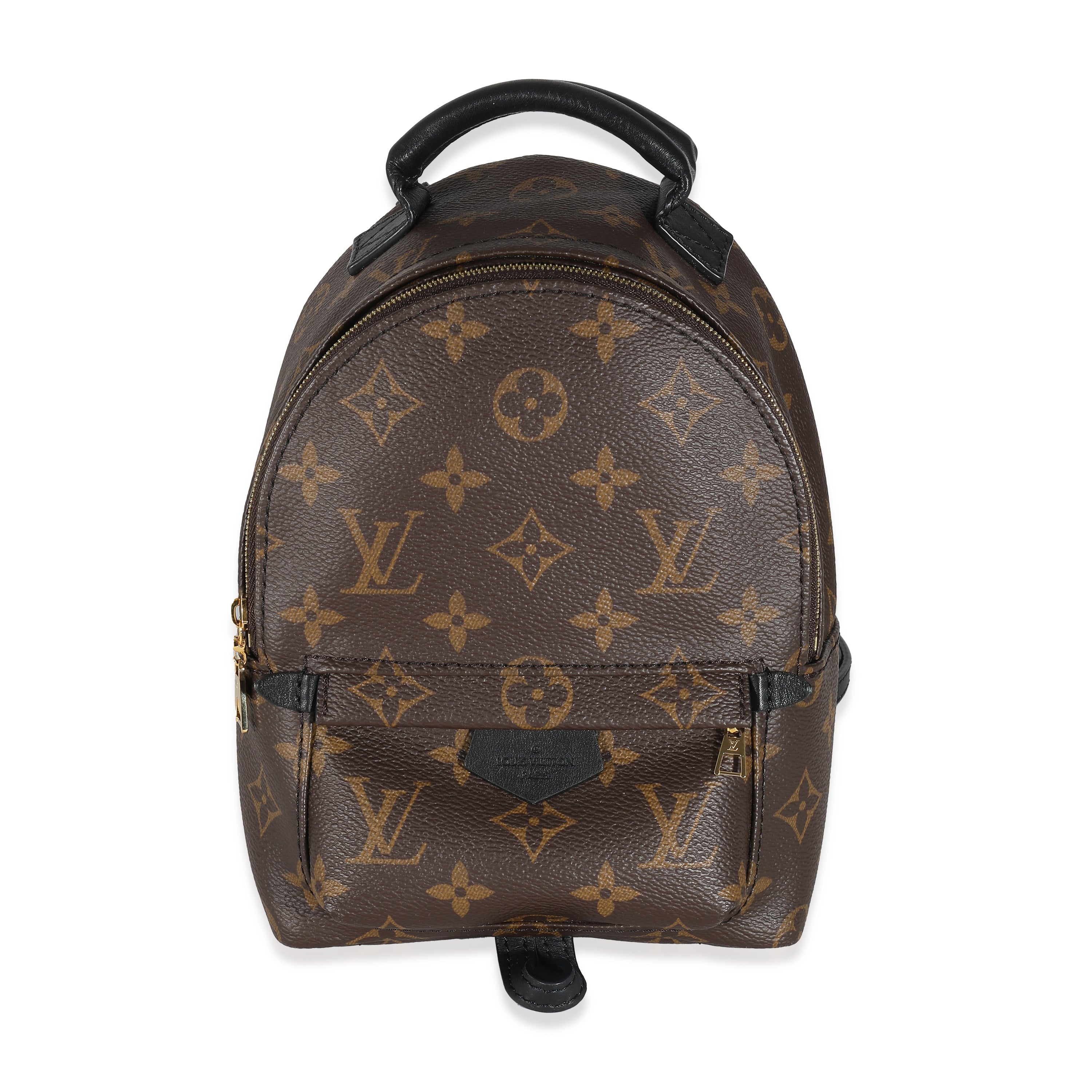 Louis Vuitton Louis Vuitton Monogram Canvas Mini Palm Springs