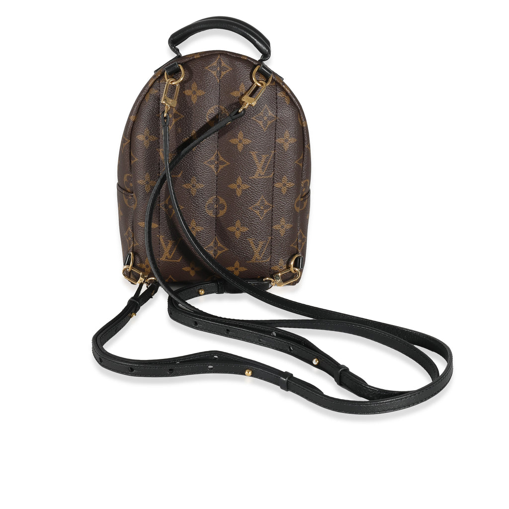 Louis Vuitton Louis Vuitton Monogram Canvas Mini Palm Springs