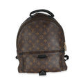 Louis Vuitton Monogram Canvas Palm Springs PM