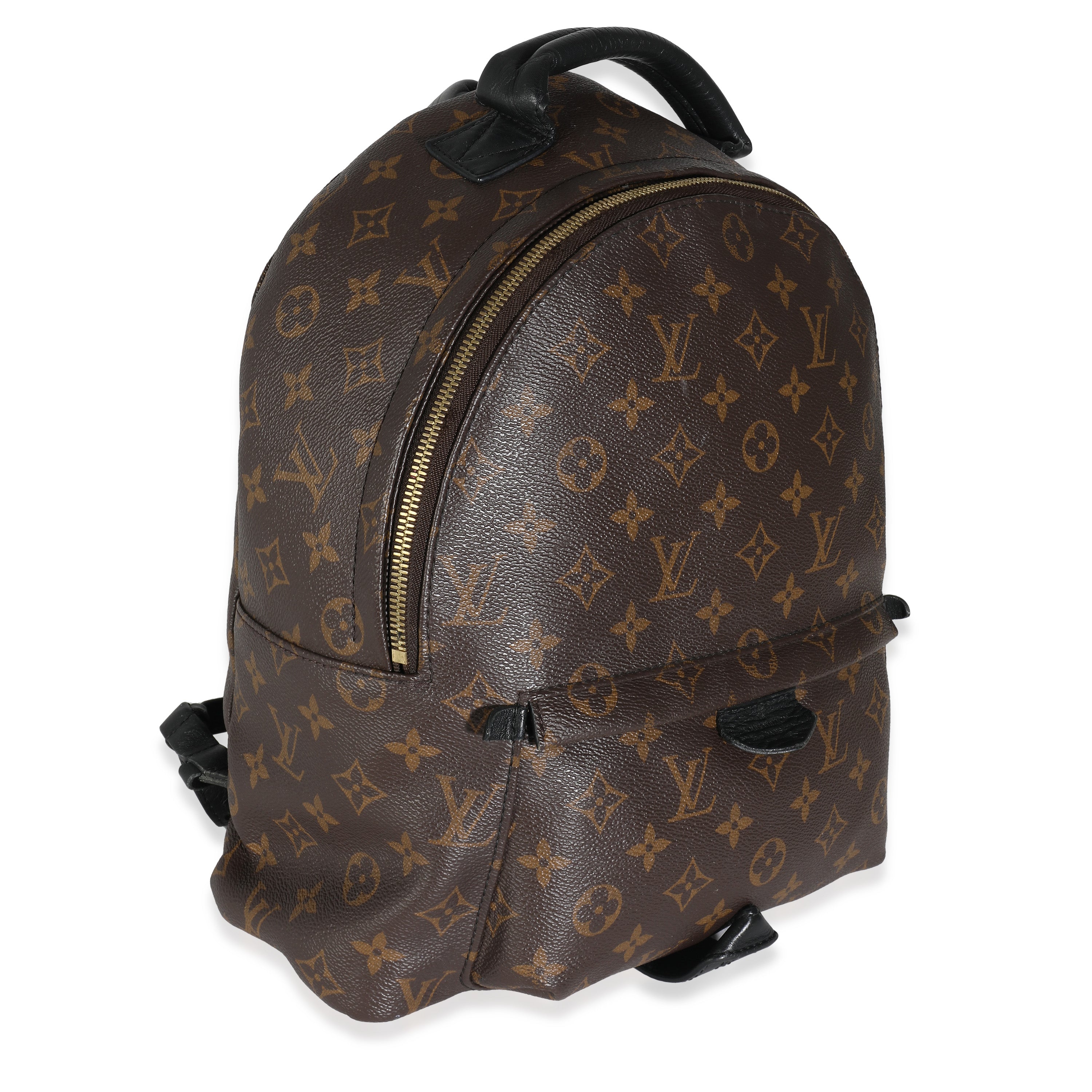 Louis Vuitton Monogram Canvas Palm Springs PM