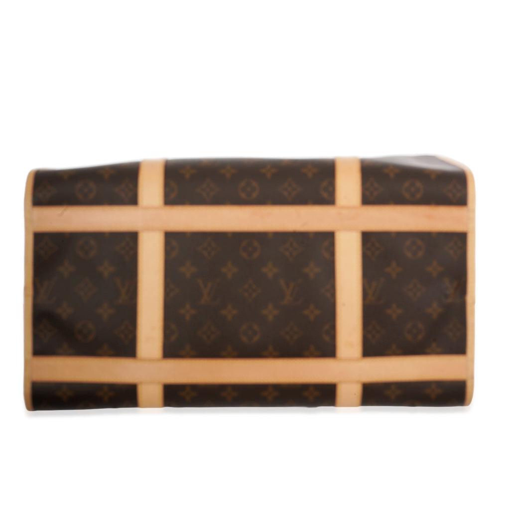Louis Vuitton Louis Vuitton Monogram Canvas Dog Carrier 40